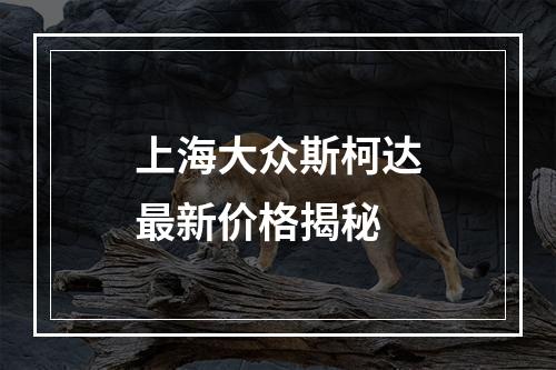 上海大众斯柯达最新价格揭秘