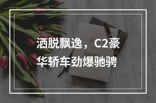 洒脱飘逸，C2豪华轿车劲爆驰骋