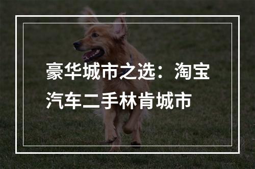 豪华城市之选：淘宝汽车二手林肯城市