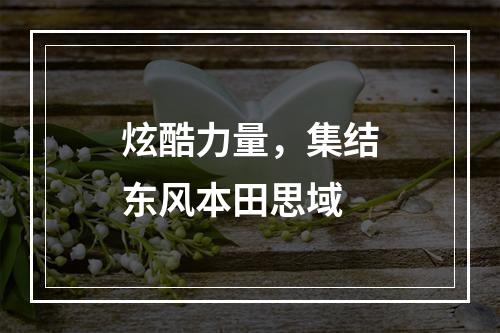炫酷力量，集结东风本田思域