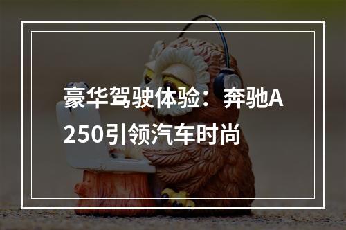 豪华驾驶体验：奔驰A250引领汽车时尚