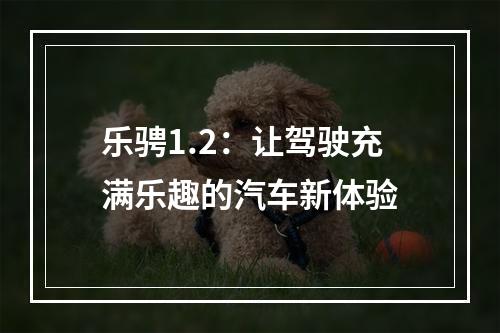 乐骋1.2：让驾驶充满乐趣的汽车新体验