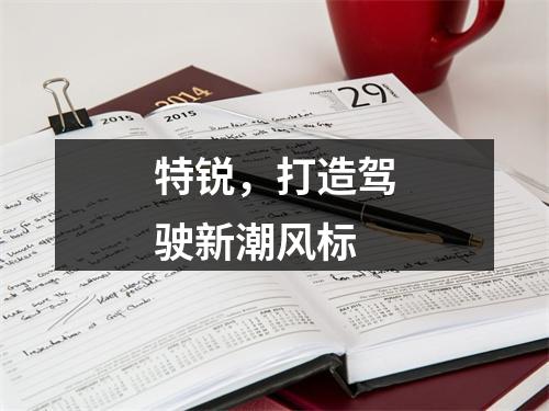 特锐，打造驾驶新潮风标