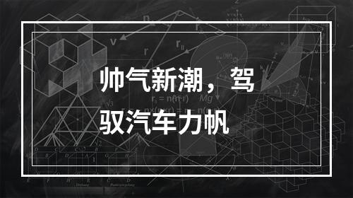 帅气新潮，驾驭汽车力帆