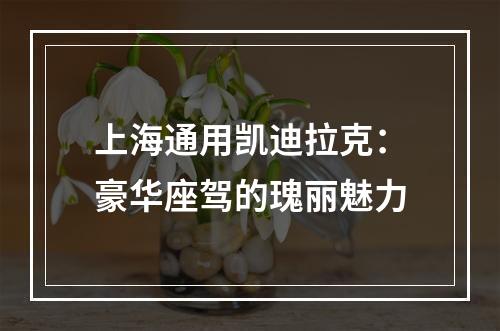 上海通用凯迪拉克：豪华座驾的瑰丽魅力
