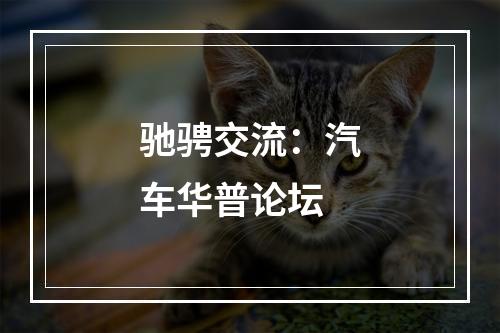 驰骋交流：汽车华普论坛