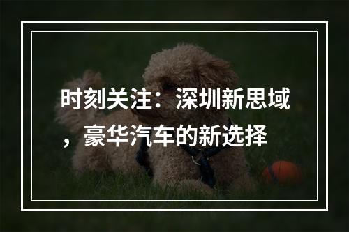 时刻关注：深圳新思域，豪华汽车的新选择
