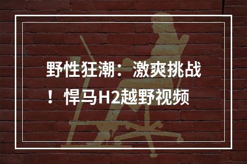 野性狂潮：激爽挑战！悍马H2越野视频