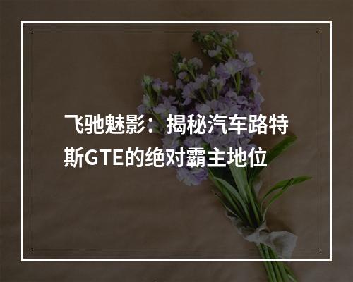 飞驰魅影：揭秘汽车路特斯GTE的绝对霸主地位