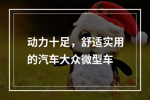 动力十足，舒适实用的汽车大众微型车