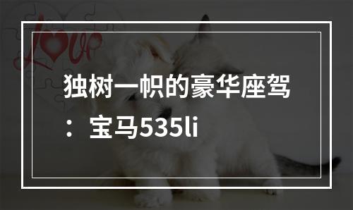 独树一帜的豪华座驾：宝马535li