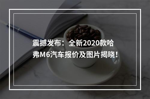震撼发布：全新2020款哈弗M6汽车报价及图片揭晓！