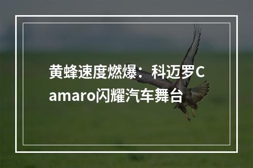 黄蜂速度燃爆：科迈罗Camaro闪耀汽车舞台