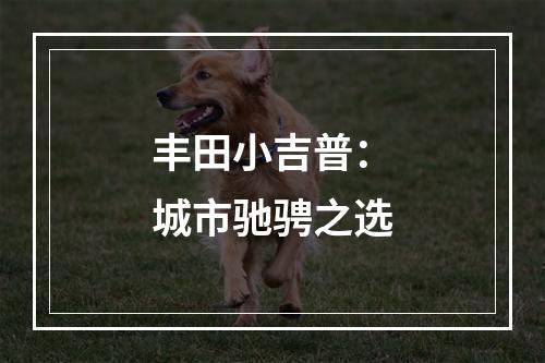 丰田小吉普：城市驰骋之选