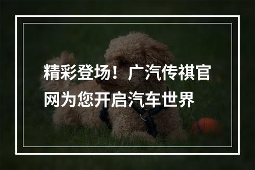 精彩登场！广汽传祺官网为您开启汽车世界