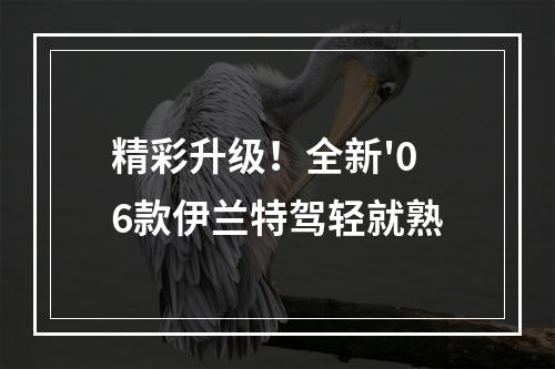 精彩升级！全新'06款伊兰特驾轻就熟