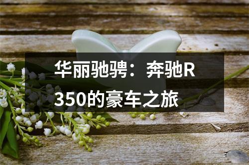 华丽驰骋：奔驰R350的豪车之旅