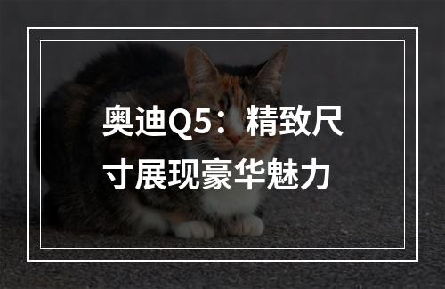 奥迪Q5：精致尺寸展现豪华魅力