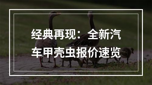 经典再现：全新汽车甲壳虫报价速览