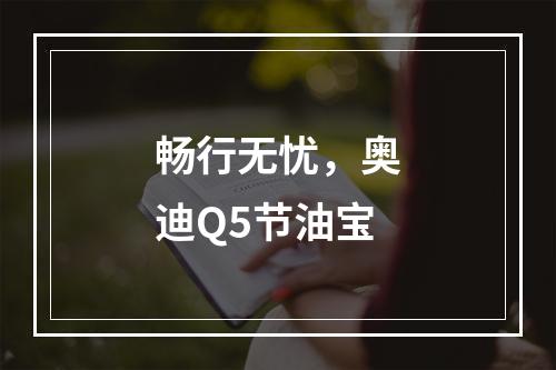 畅行无忧，奥迪Q5节油宝