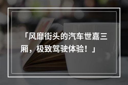 「风靡街头的汽车世嘉三厢，极致驾驶体验！」