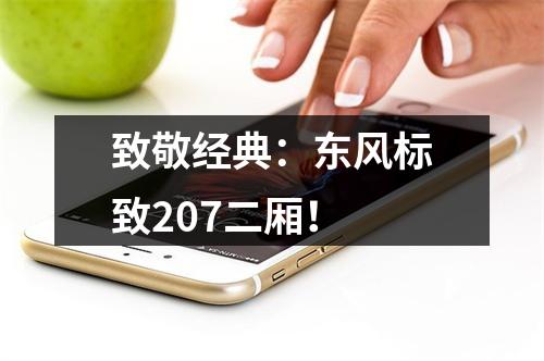 致敬经典：东风标致207二厢！