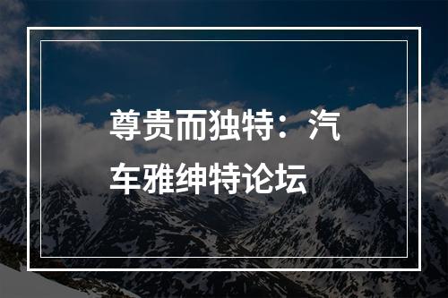 尊贵而独特：汽车雅绅特论坛
