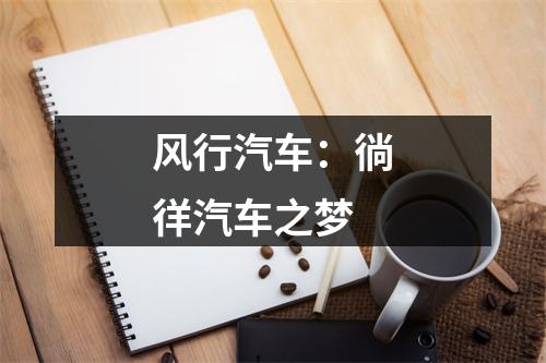 风行汽车：徜徉汽车之梦