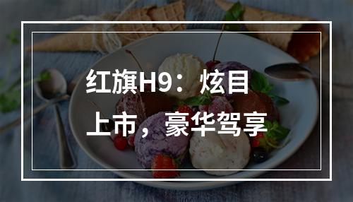 红旗H9：炫目上市，豪华驾享