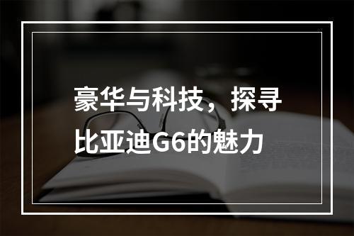 豪华与科技，探寻比亚迪G6的魅力