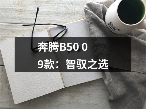 奔腾B50 09款：智驭之选