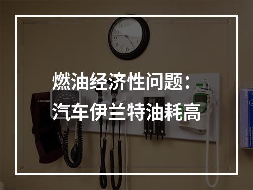 燃油经济性问题：汽车伊兰特油耗高
