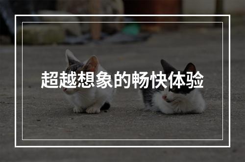 超越想象的畅快体验