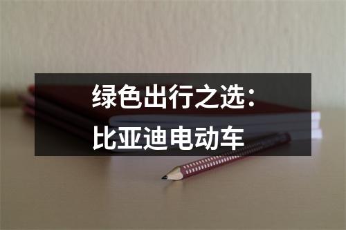 绿色出行之选：比亚迪电动车