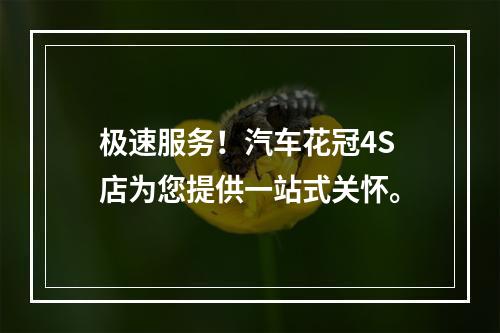 极速服务！汽车花冠4S店为您提供一站式关怀。