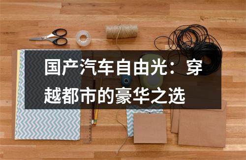 国产汽车自由光：穿越都市的豪华之选