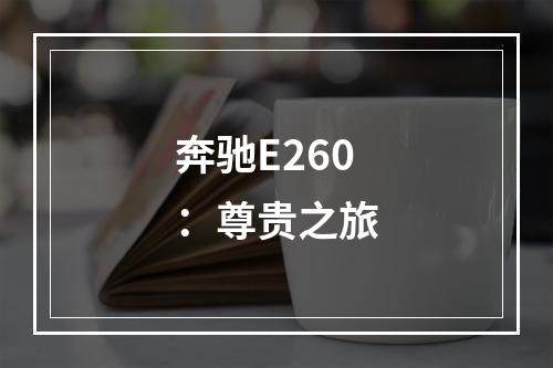 奔驰E260：尊贵之旅