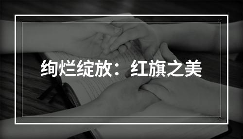 绚烂绽放：红旗之美