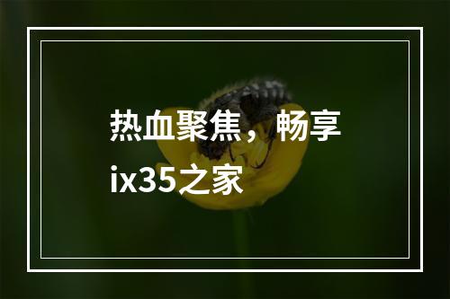 热血聚焦，畅享ix35之家
