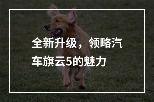 全新升级，领略汽车旗云5的魅力