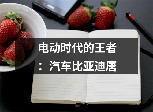 电动时代的王者：汽车比亚迪唐
