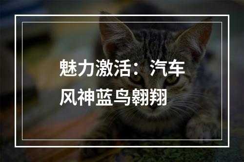 魅力激活：汽车风神蓝鸟翱翔