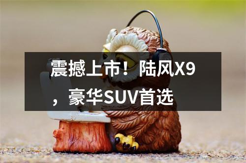 震撼上市！陆风X9，豪华SUV首选