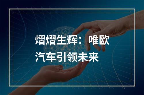 熠熠生辉：唯欧汽车引领未来