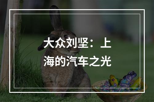 大众刘坚：上海的汽车之光