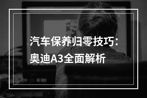 汽车保养归零技巧：奥迪A3全面解析