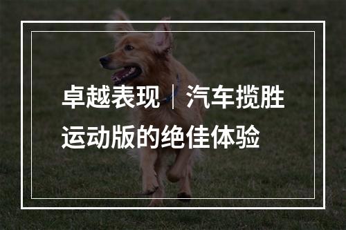 卓越表现｜汽车揽胜运动版的绝佳体验