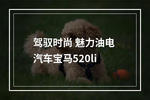 驾驭时尚 魅力油电 汽车宝马520li