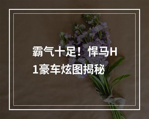 霸气十足！悍马H1豪车炫图揭秘