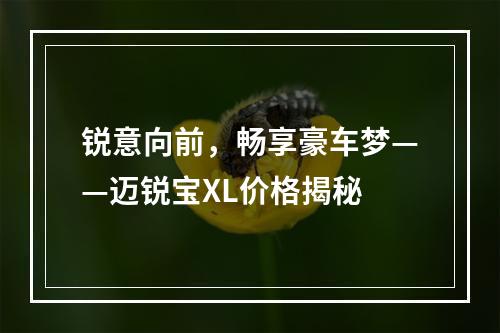 锐意向前，畅享豪车梦——迈锐宝XL价格揭秘